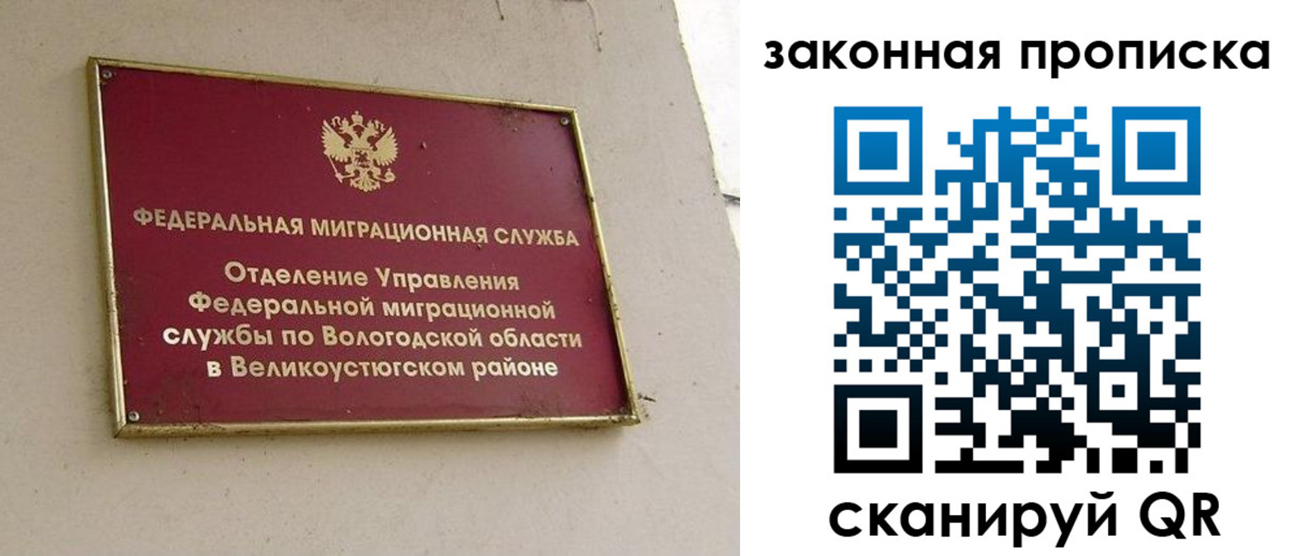 прописка от собственника в Светлогорске